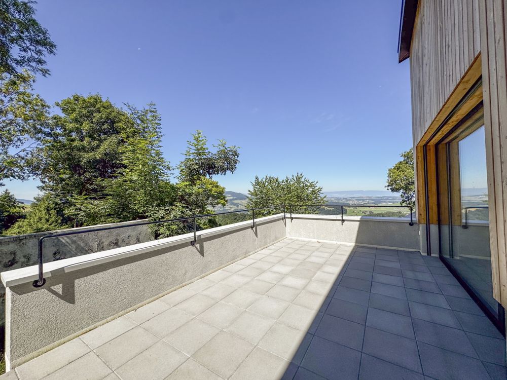 Chalet neuf - Opportunité unique ! - La Roche/Berra - Terrasse salon