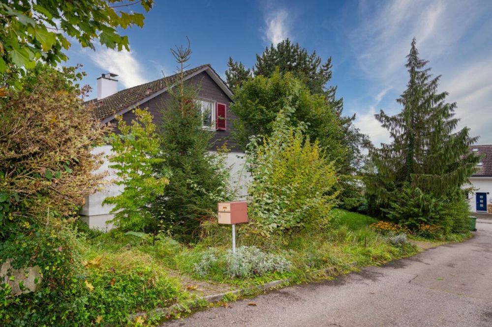 Mit viel Potenzial! - Bild 2