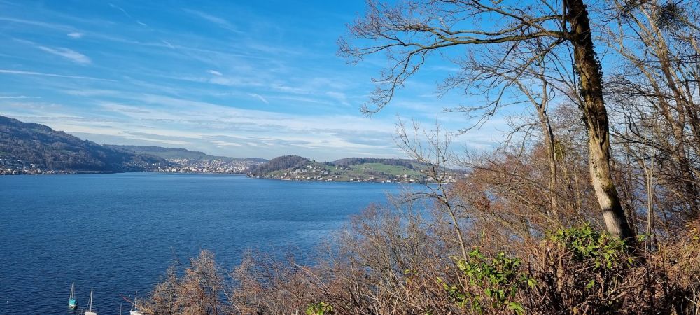 Exklusive luxuriöse Villa an sensationeller Lage mit See und Bergsicht" -  Bild 1