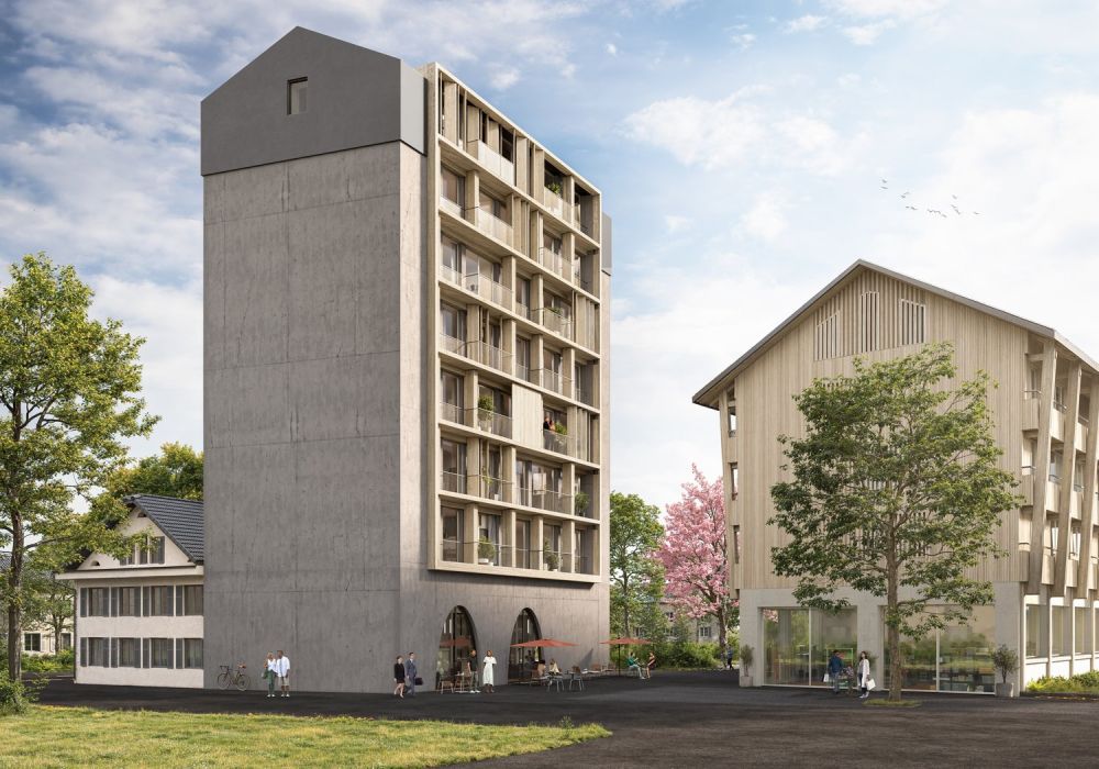 Unverwechselbar individuell: «Turmfalke» am Baldeggersee, Gelfingen - Bild 2