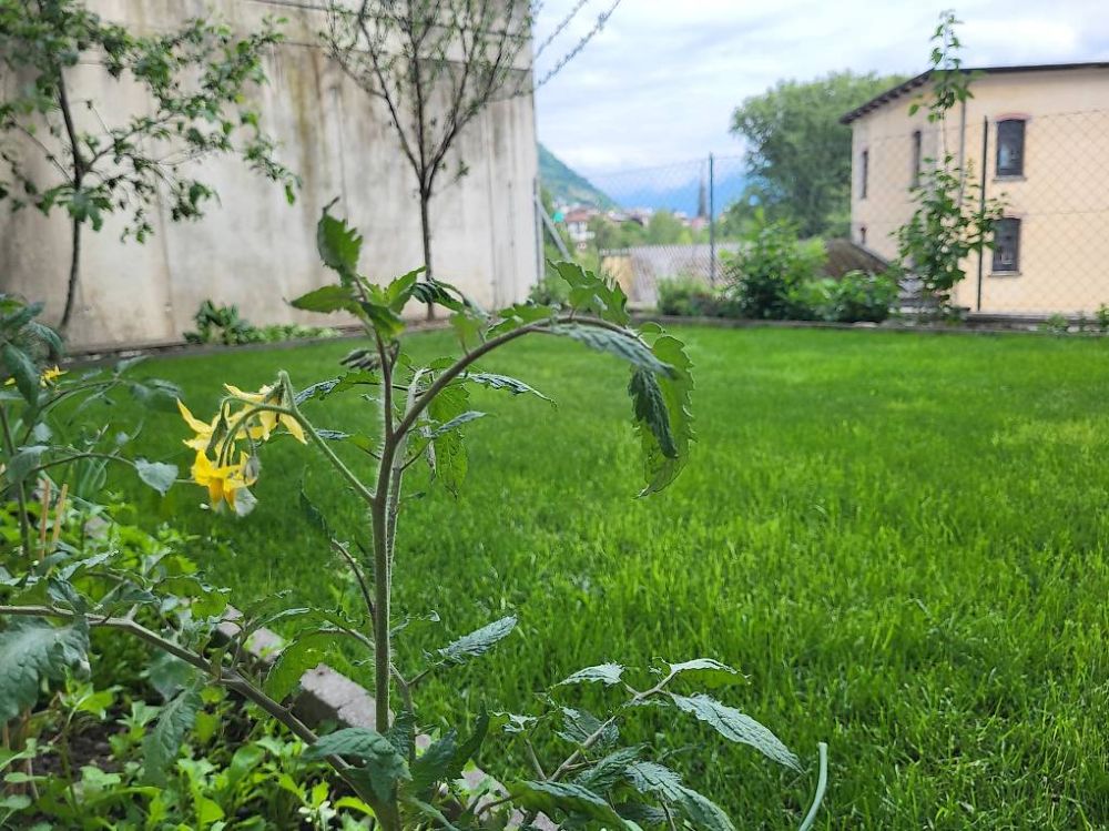 TENERO 4,5 ZIMMER MIT PRIVATGARTEN UND WINTERGARTEN -  Bild 3