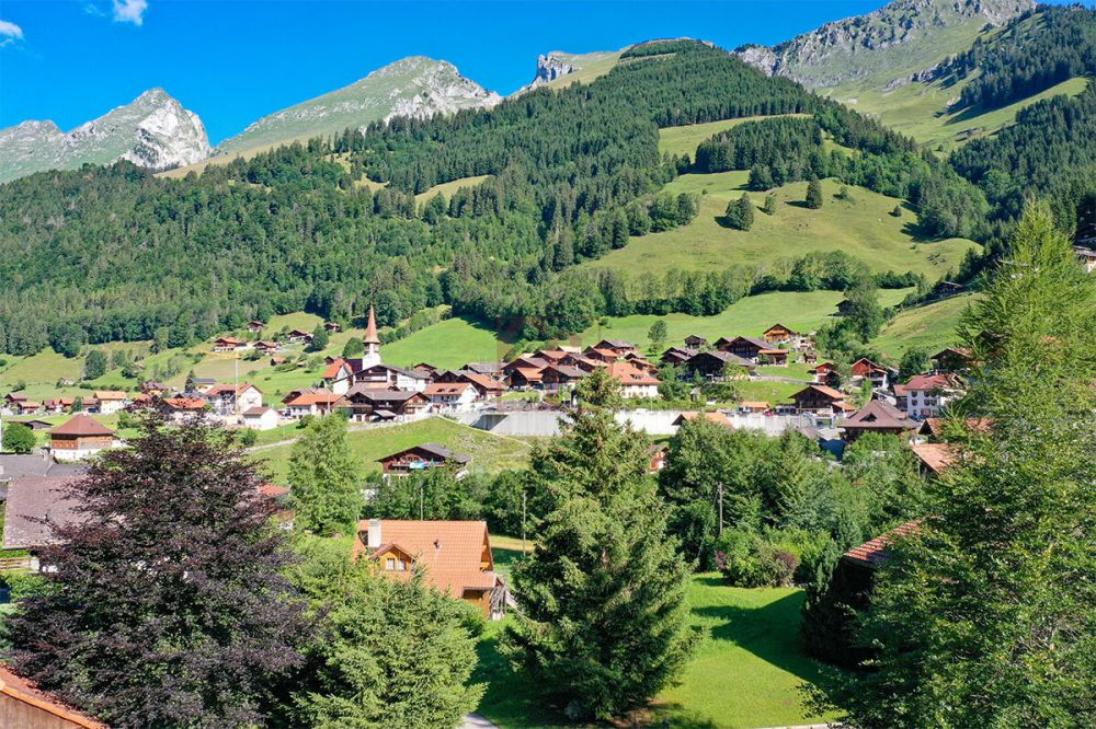 Prächtiges Chalet auf Plan in Jaun -  Bild 7