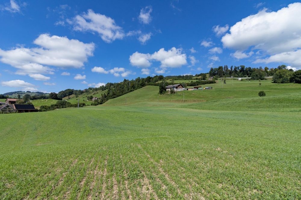 Über dem Nebel, grosszügiges Einfamilienhaus mit Umschwung und Schwimmbad - Bild 10