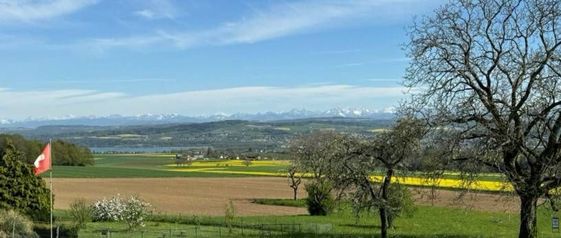 Nouvelle promotion - Le chantier a démarré : duplex de 5.5 pièces avec balcons - Bild 3