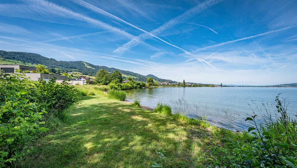 MODERNE ELEGANZ AM SEEUFER - 2024  ERBAUTE DESIGNERWOHNUNG IN LACHEN -  Bild 2