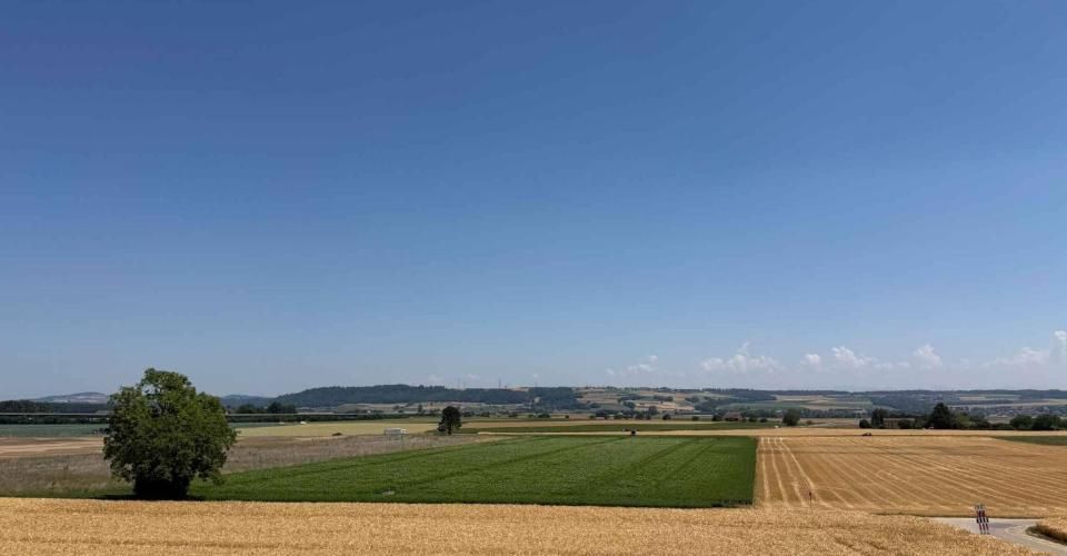Magnifique appartement neuf de 4½ au rez supérieur avec balcon et vue dégagée - Appartement 4.5 pièces - image - 7