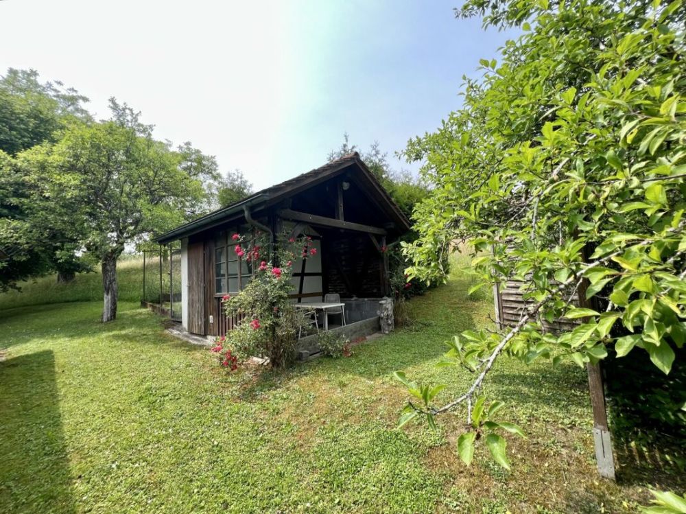 Liegenschaft mit grosser Landfläche und viel Bauland - Gartenhaus