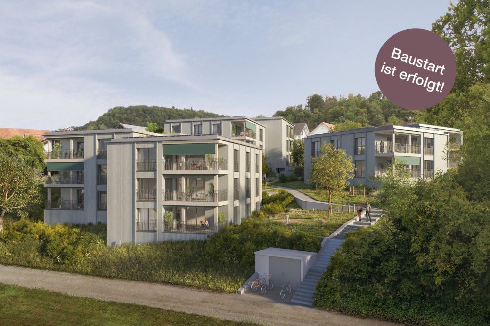 «Hübel» Othmarsingen - Letzte Wohnung! - Aussenvisualisierung