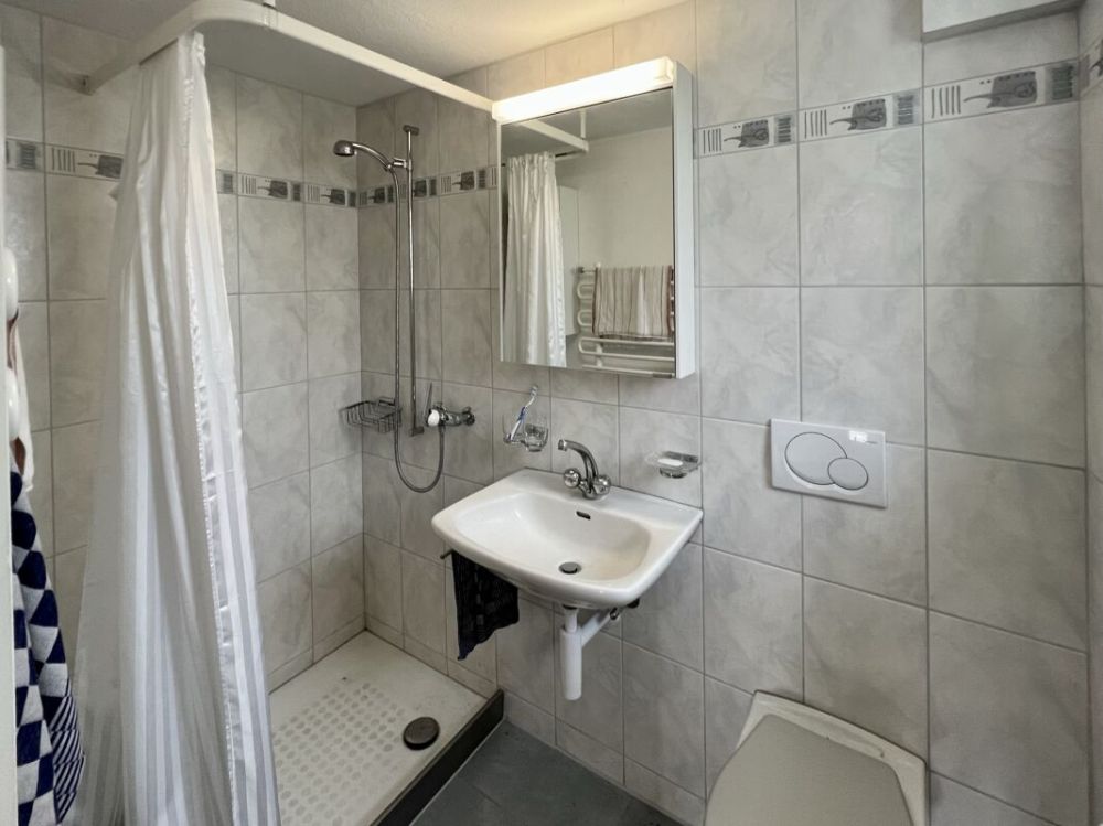 Liegenschaft mit grosser Landfläche und viel Bauland - Bad