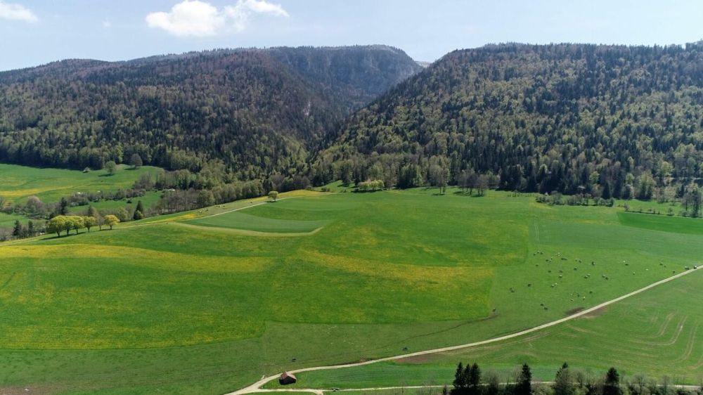 Réservé - Appartement A02 de 3.5 pièces à Villeret - Bild 9