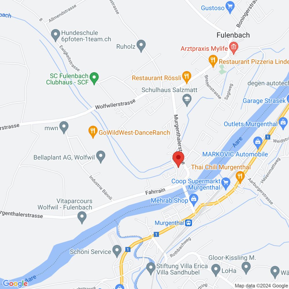 4.5 Zimmer EG-Wohnung mit 146m² und gedecktem Sitzplatz - Lageplan