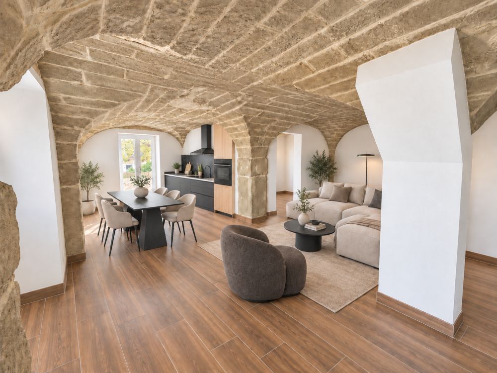 Appartement neuf - 3,5 pièces avec voûtes et terrasse de 48 m² - Se?jour cuisine.png