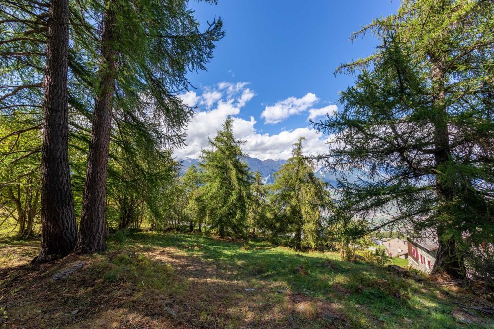 Chalet von hohem Standard zur Errichtung, Veillas 2, Hauptwohnsitz -  Bild 4