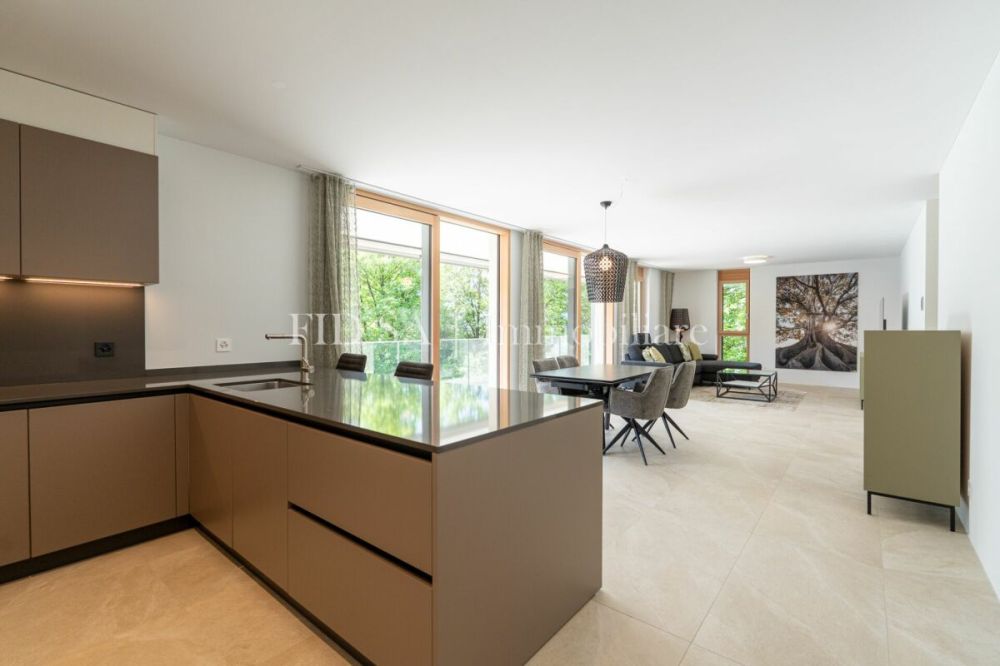MINUSIO - Neubauwohnung mit grosszügigem Grundriss und moderner Architektur -  Bild 1