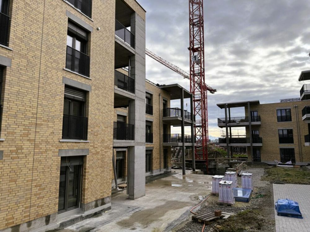 Hochwertige 3.5-Zi.-Wohnung mit sehr schönem Gartenanteil (C 0.3) - Bild 7