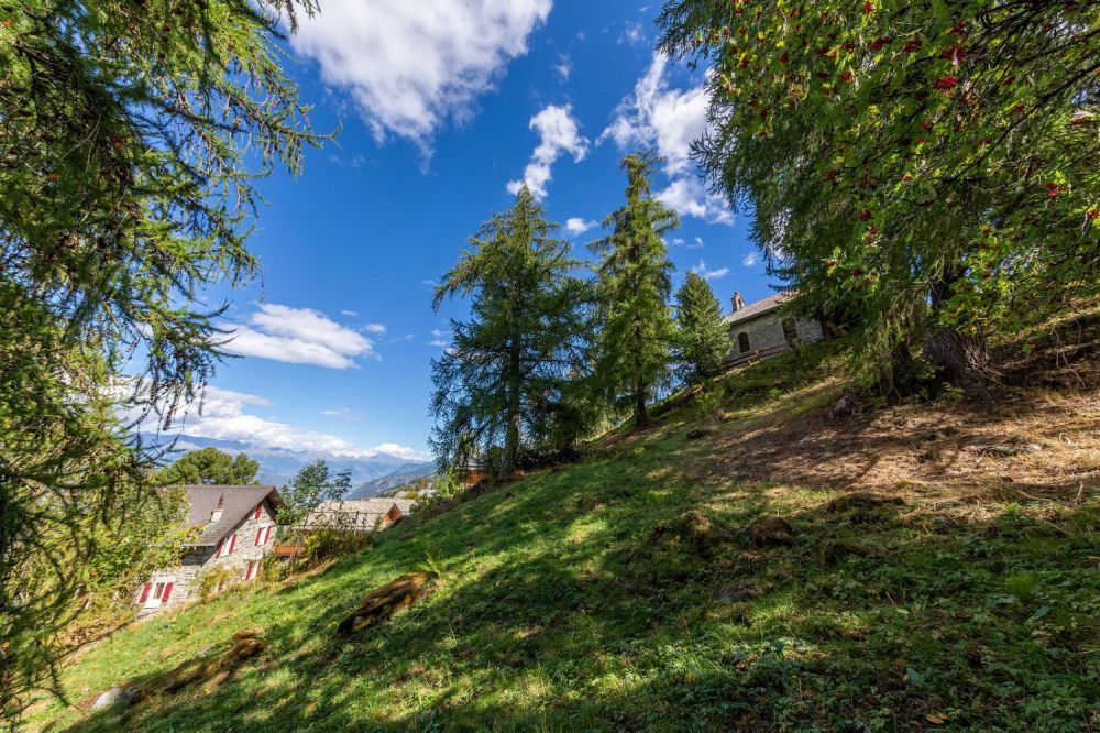 Chalet von hohem Standard zur Errichtung, Veillas 2, Hauptwohnsitz -  Bild 2
