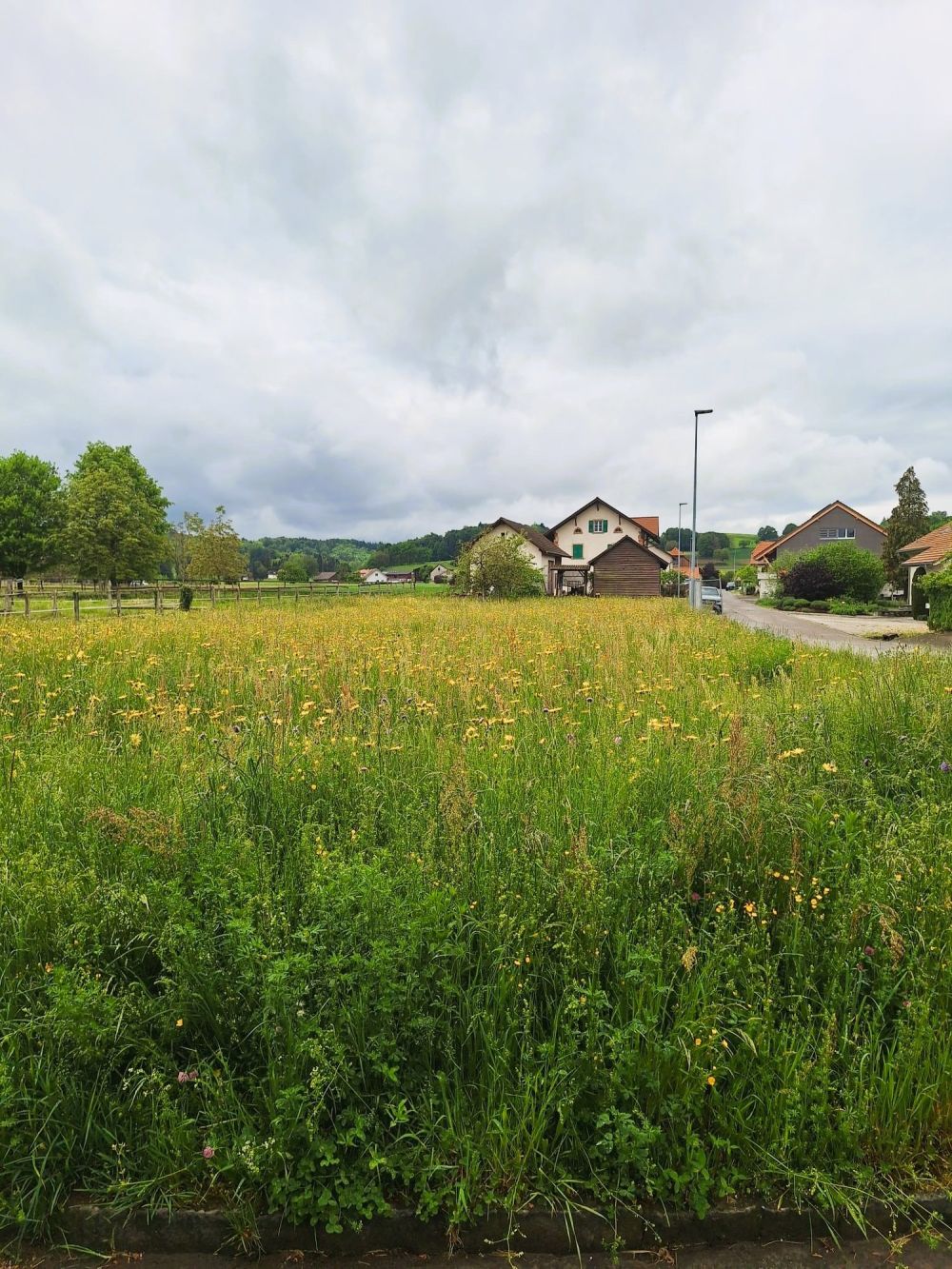 Einfamilienhaus (A) neu und modern in Montagny - Verkaufsaktion -  Bild 11
