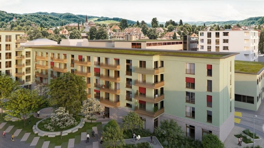 3.5-Zimmer Wohnung - zwiete