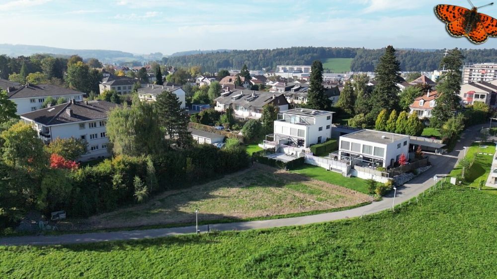 Magnifique 4½ pièces en rez-de-jardin avec terrasse de 44 m² - Vue de la parcelle