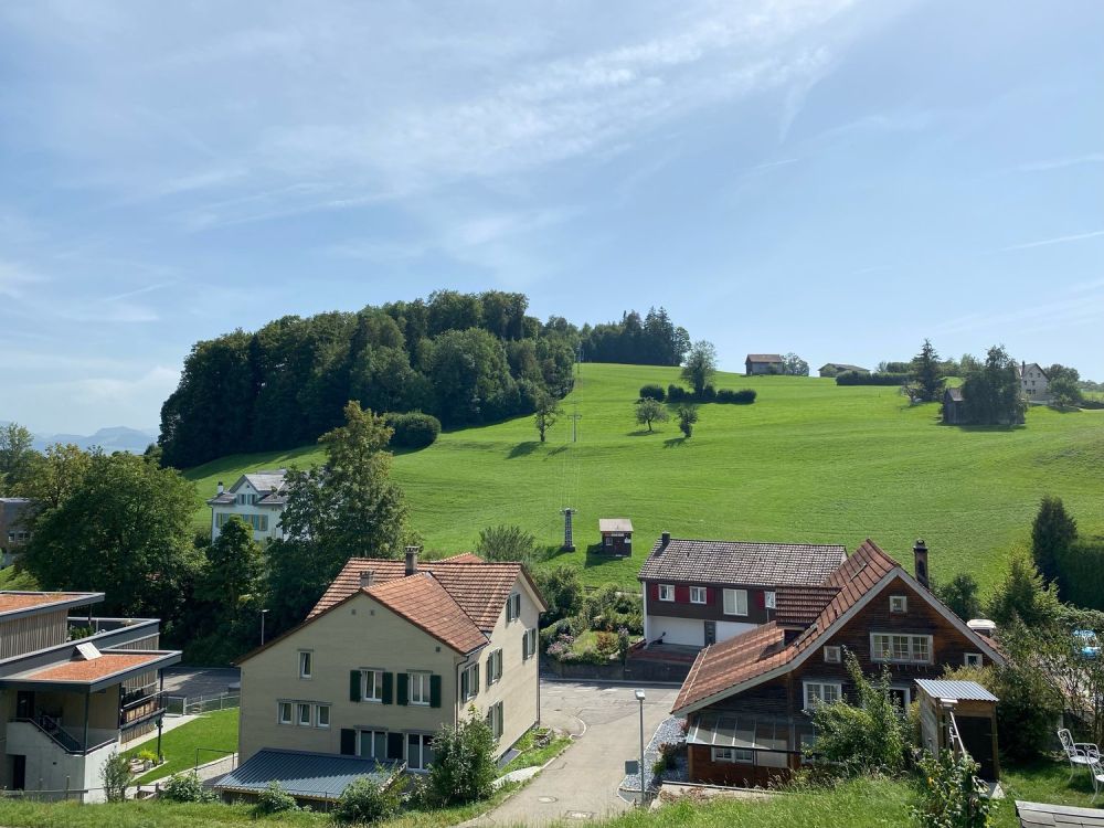 Neubau mit Säntisblick – viel Platz für Ihre Wohnträume! -  Bild 3