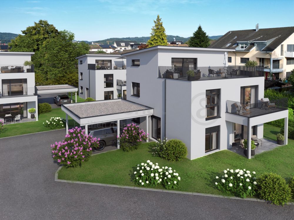 Letzte Chance: 6.5-Zimmer-Neubau-EFH mit Attika an Toplage in Rothrist - Bild 2