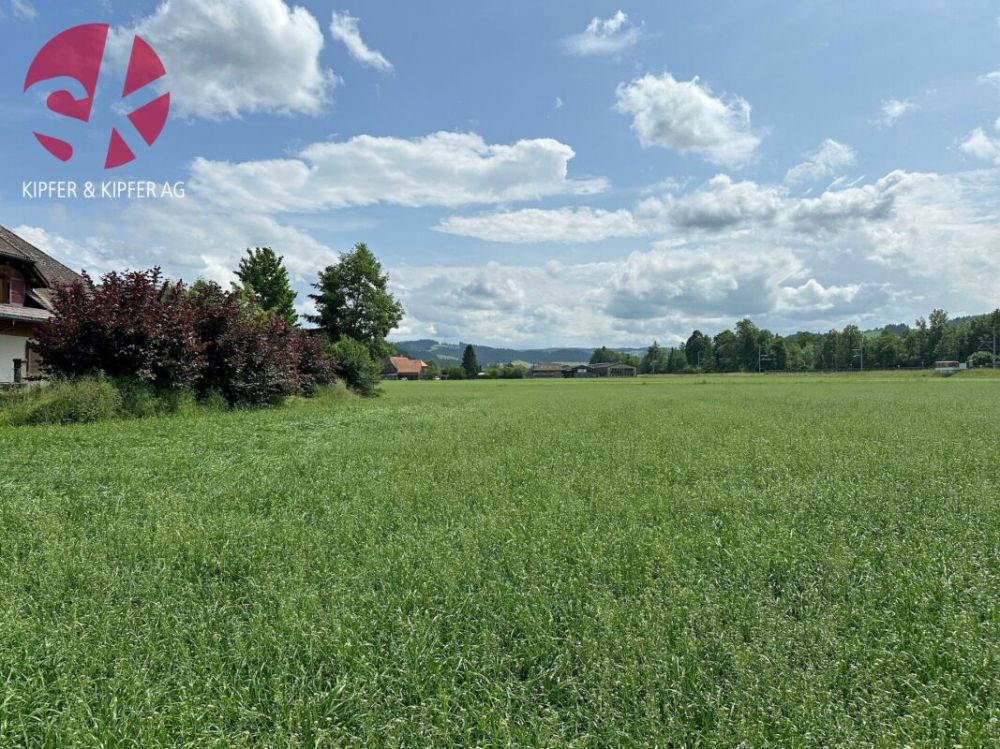 NEUBAU Zollbrück - Leben in der Natur, neben der Emme und trotzdem zentrumsnah - Bild 1