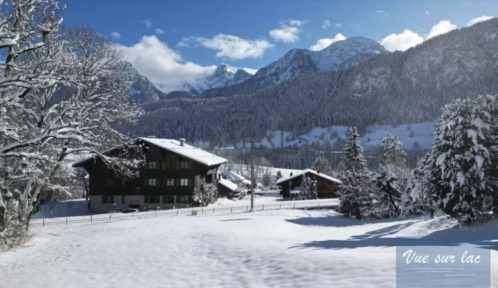 Ihr Duplex im Oberland Bernois, die Magie der Schweiz -  Bild 1