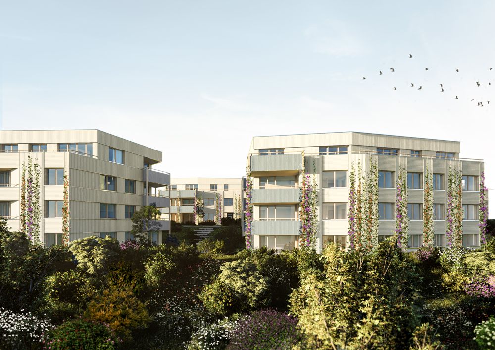 AUGARTEN - Wohnen im Einklang mit der Natur - Aussenansicht