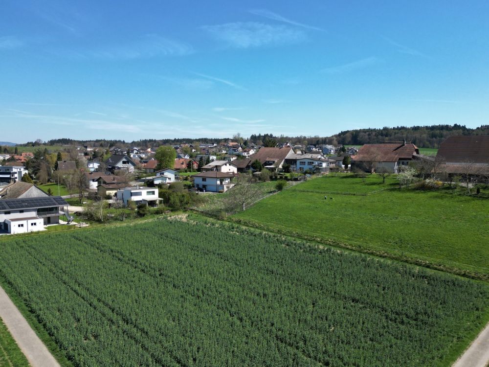 Wohnen an unverbaubarer Lage – Ihr neues Zuhause? -  Bild 4