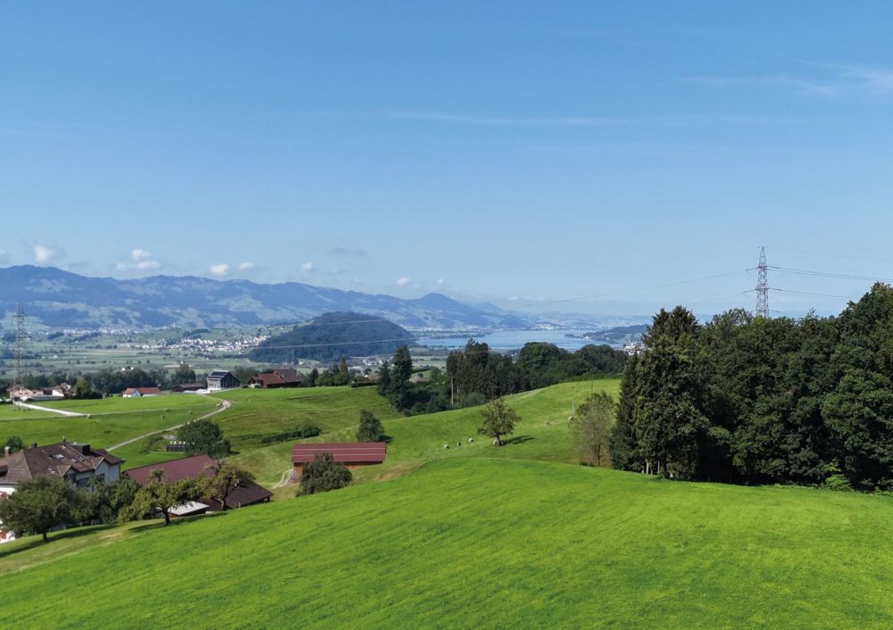 Neubau-Eigentumswohnung, 3.5 Zimmer mit Sitzplatz und Grünfläche in Gommiswald -  Bild 1
