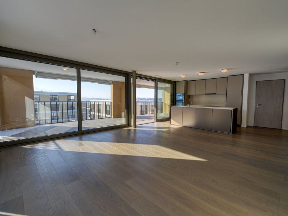 Erstklassige 4.5-Zimmerwohnung mit hochwertigem Ausbau - Wohn- und Essbereich mit offener Küche