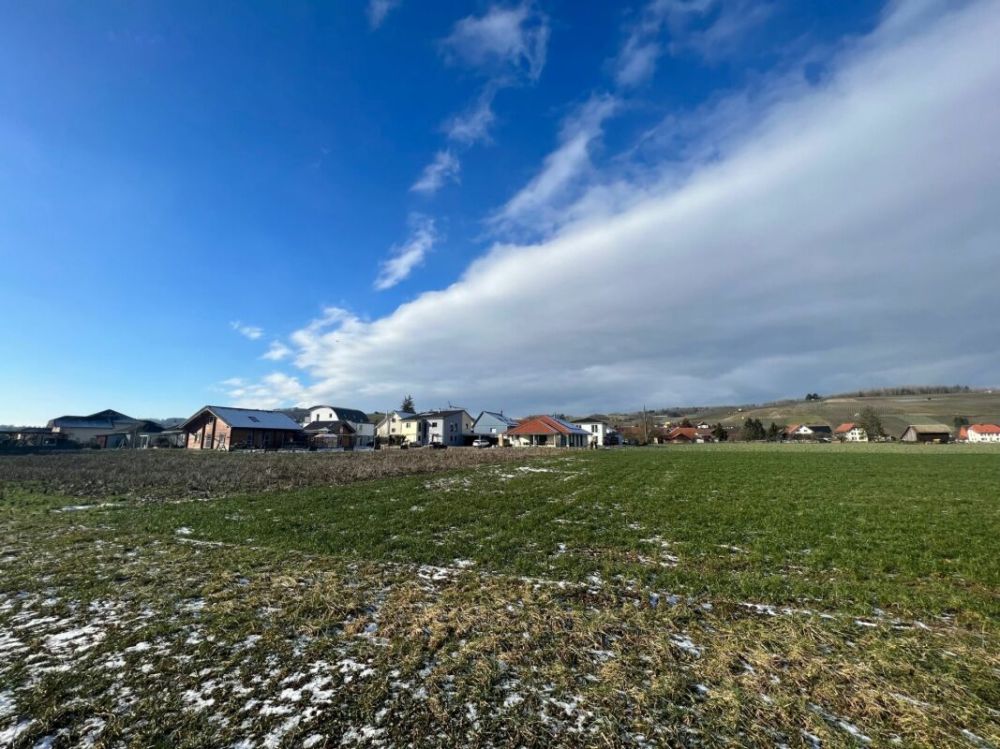 Doppeleinfamilienhaus mit Sicht in die Weinberge -  Bild 10