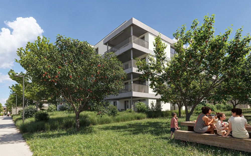 Genehmigung erteilt! Erleben Sie den Charme einer 5.5-Zimmer-Wohnung mit Terrasse und Licht -  Bild 2