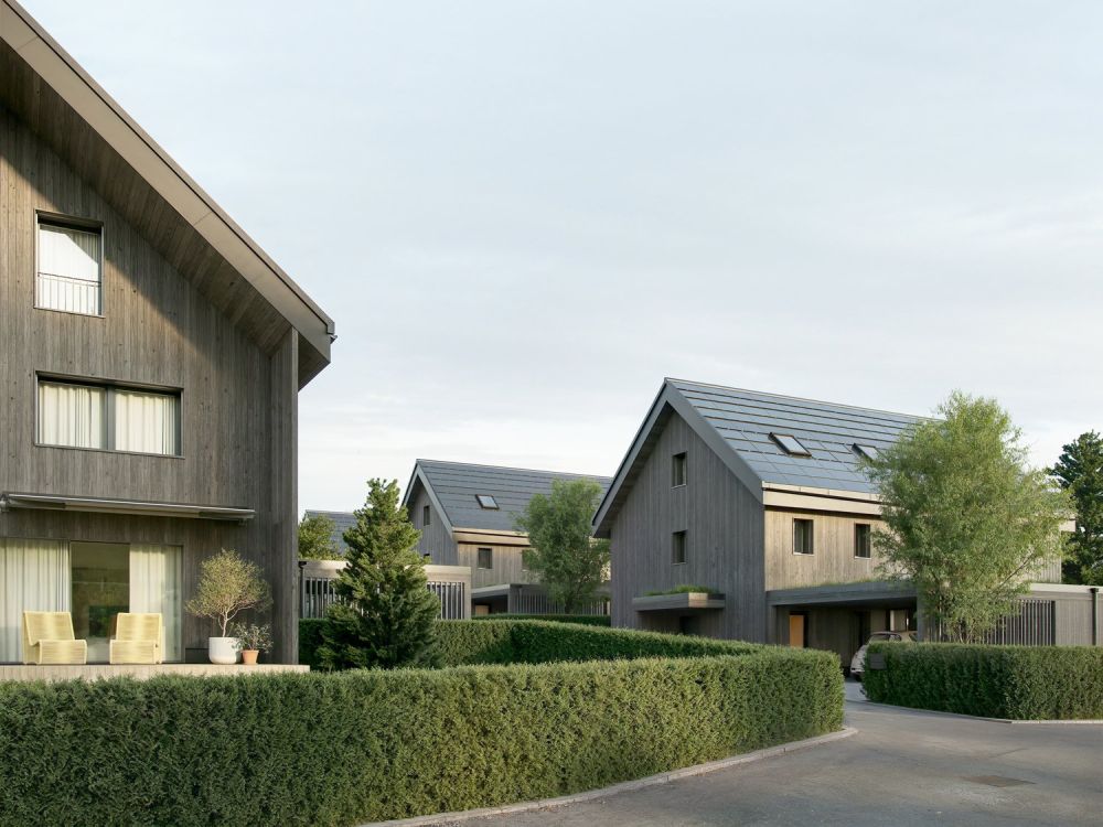 Neubau SESTETTO - Leben zwischen Wald und See. -  Bild 1