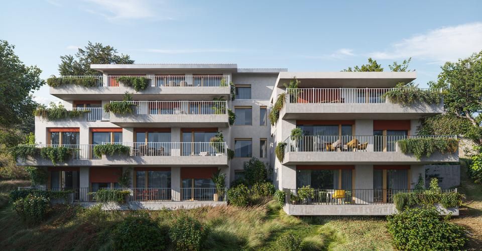 Lot 3 – 4,5 pièces neuf avec grande terrasse - Appartement 4.5 pièces - image - 1