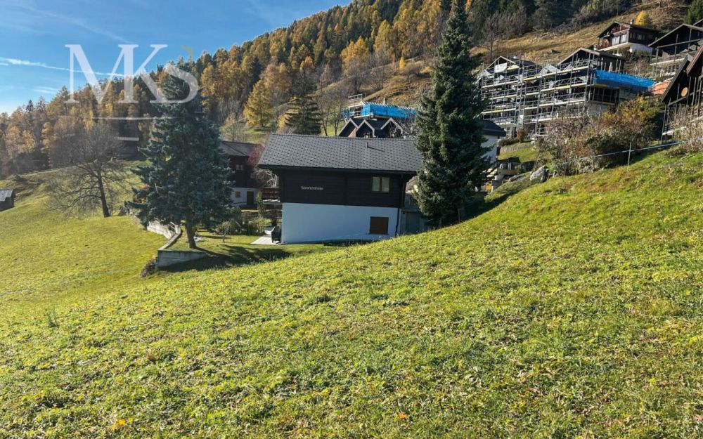 Modernes Wohnen inmitten herrlicher Ruhe und doch zentrumsnah - Bauland erschlossen