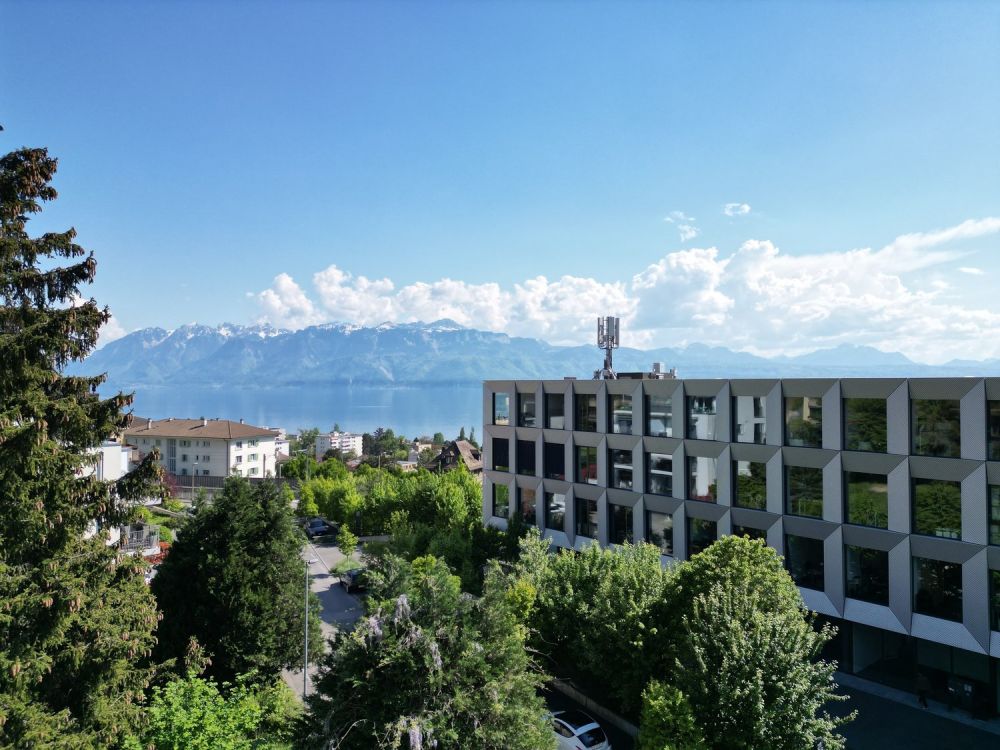 PULLY PALLIN - 2 LETZTE GRUNDSTÜCKE - vue A3 3eme