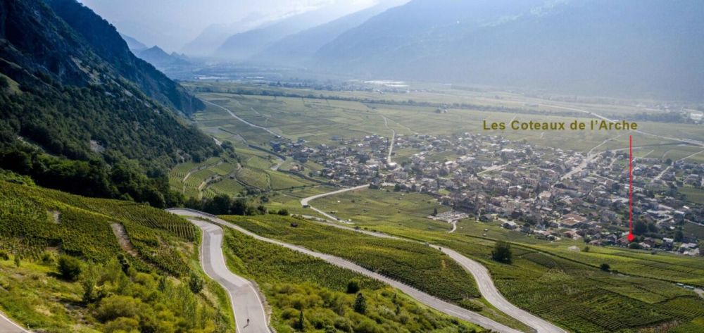 A1 - Les Vignobles de l'Arche - 4.5 pces avec jardin (lot 1 au rez) -  Bild 9