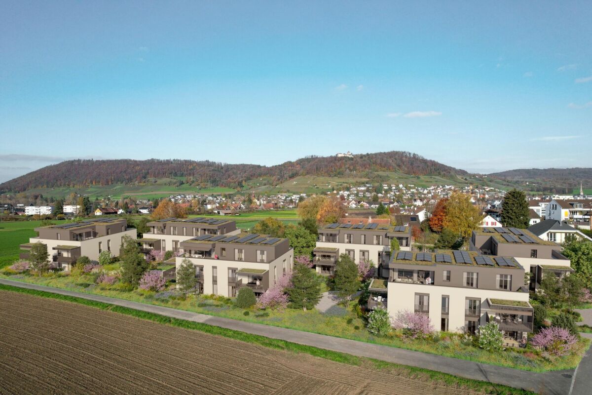 Sonnige 3.5-Zimmer Neubauwohnung in Stein am Rhein - Bild 6