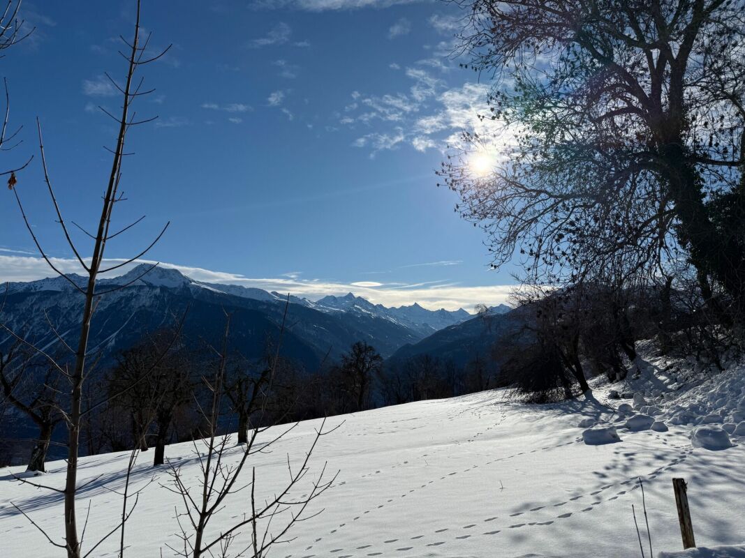 Nous allons commencer la construction - Bild 11