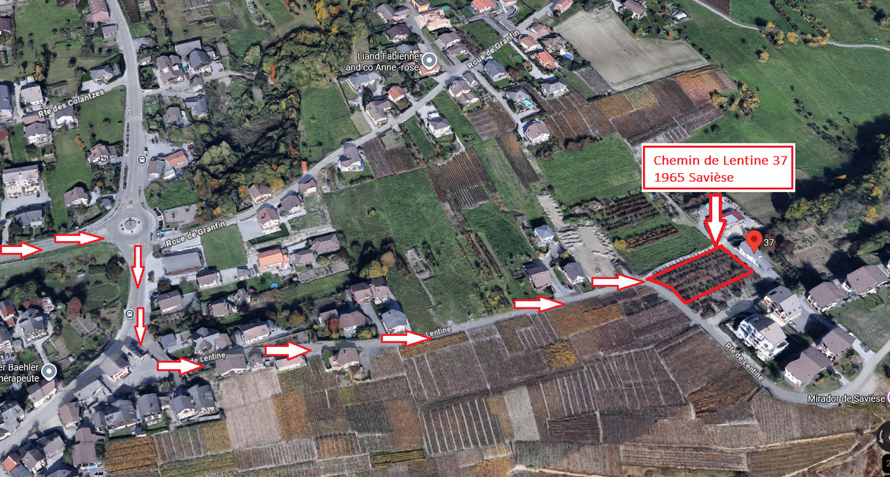 Nouvelle résidence "Lentine" - Accès depuis Sion