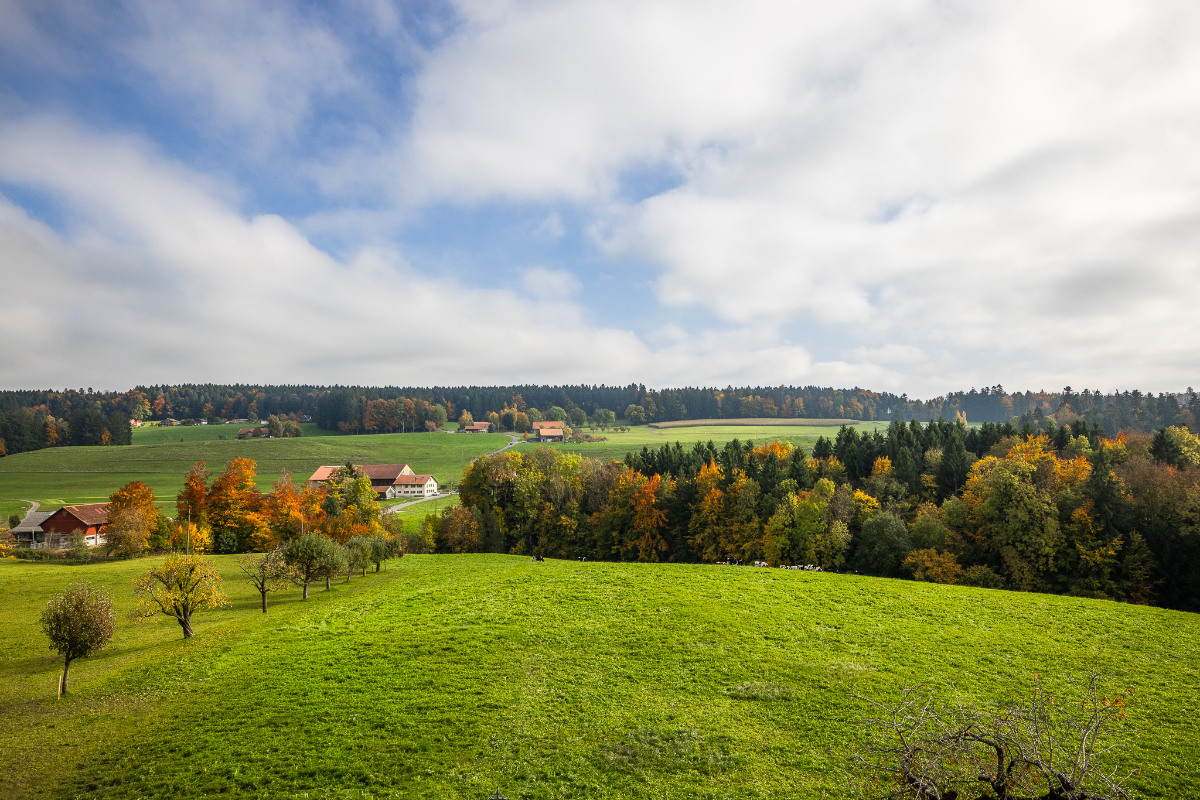 Votre nouvelle adresse à Porsel : vue dégagée et confort durable -  Bild 4