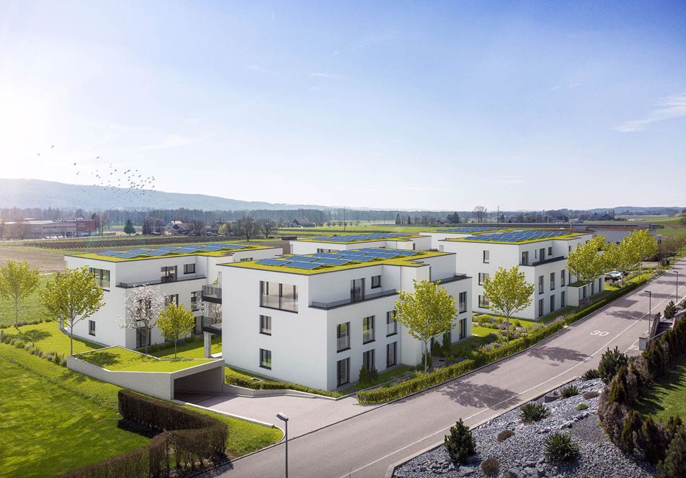 Exklusive Eigentumswohnungen – Minergie-P zertifiziert – modern, nachhaltig, komfortabel (OG E03) - Bild 4