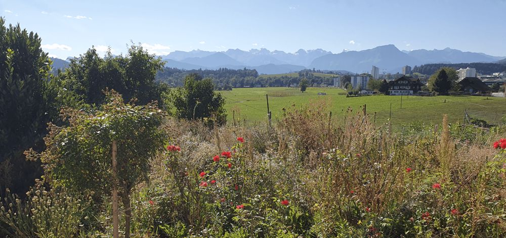 neu - modern - grosszügig ... mit herrlichem Weitblick in die Berge - Bild 1