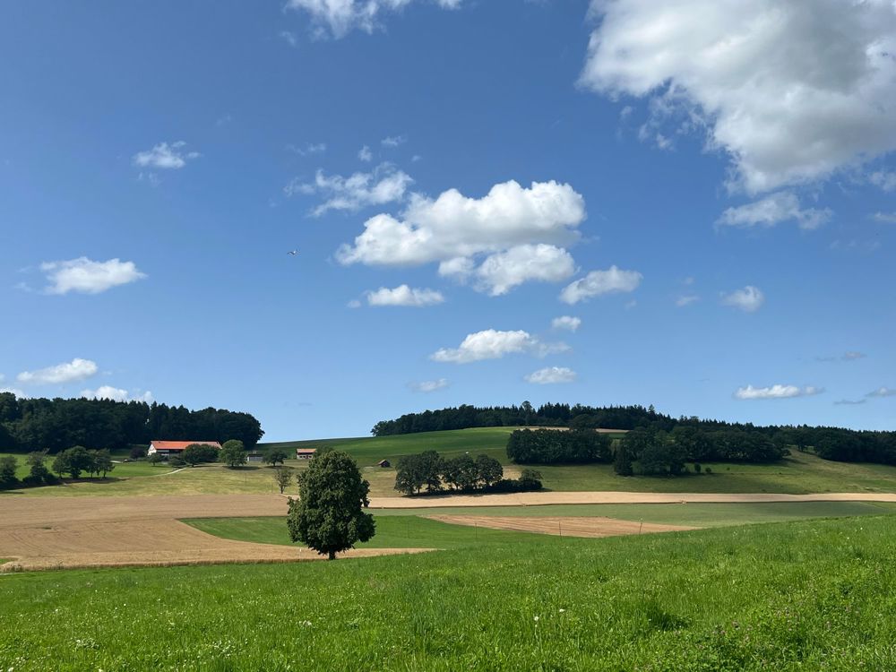Le chantier démarre à Vuisternens-devant-Romont ! - Bild 1