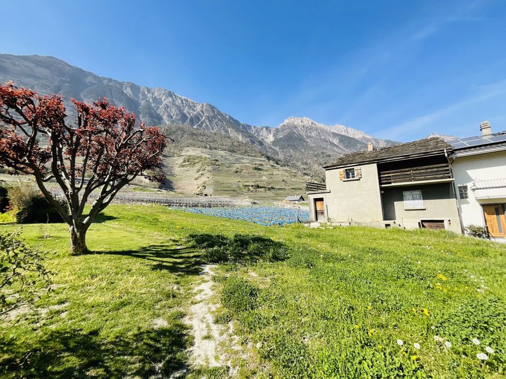 Nouveau projet sur la Commune de Fully - Bild 4