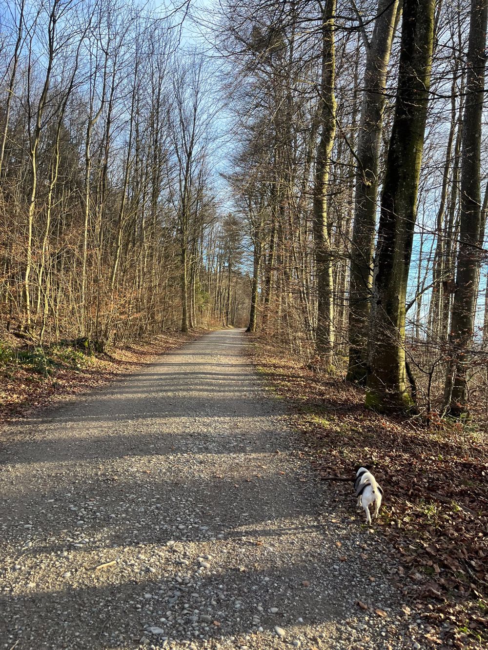 FAST FERTIG – Ihre neue 4½-Zimmer-Wohnung braucht noch den letzten Schliff! ! - Bild 11