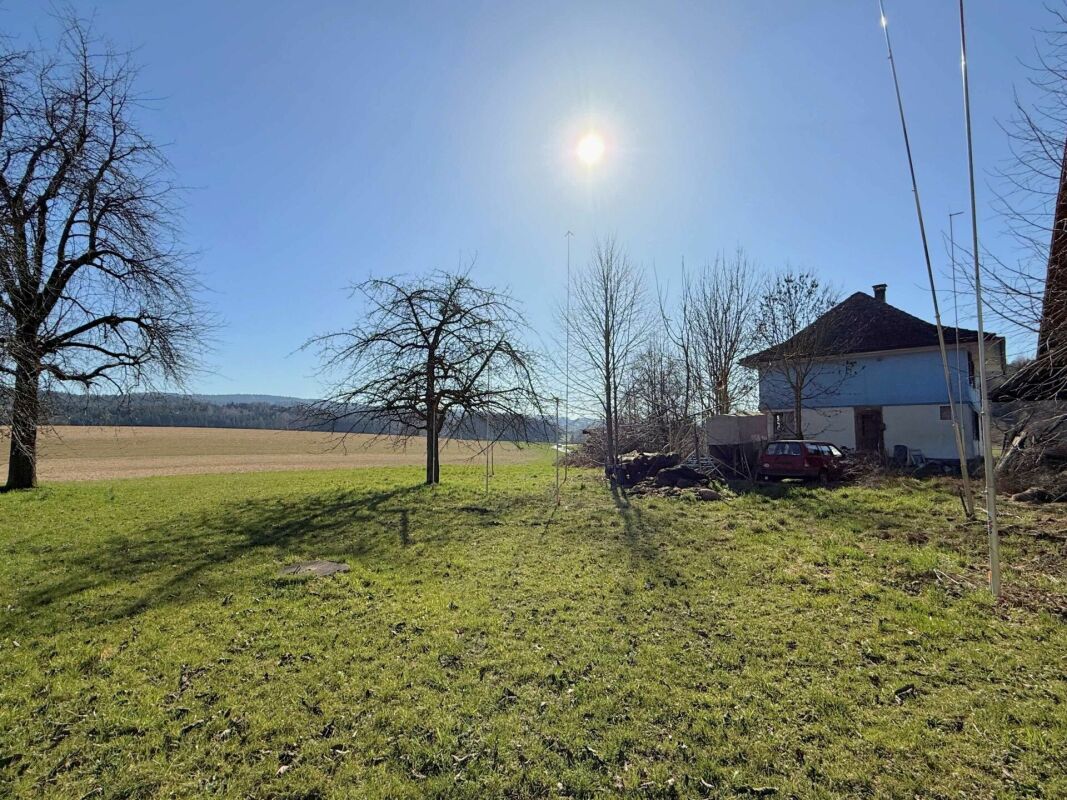 Neubauprojekt "Grünblick Buch" - Modernes Wohnen in idyllischer Lage - Bild 5
