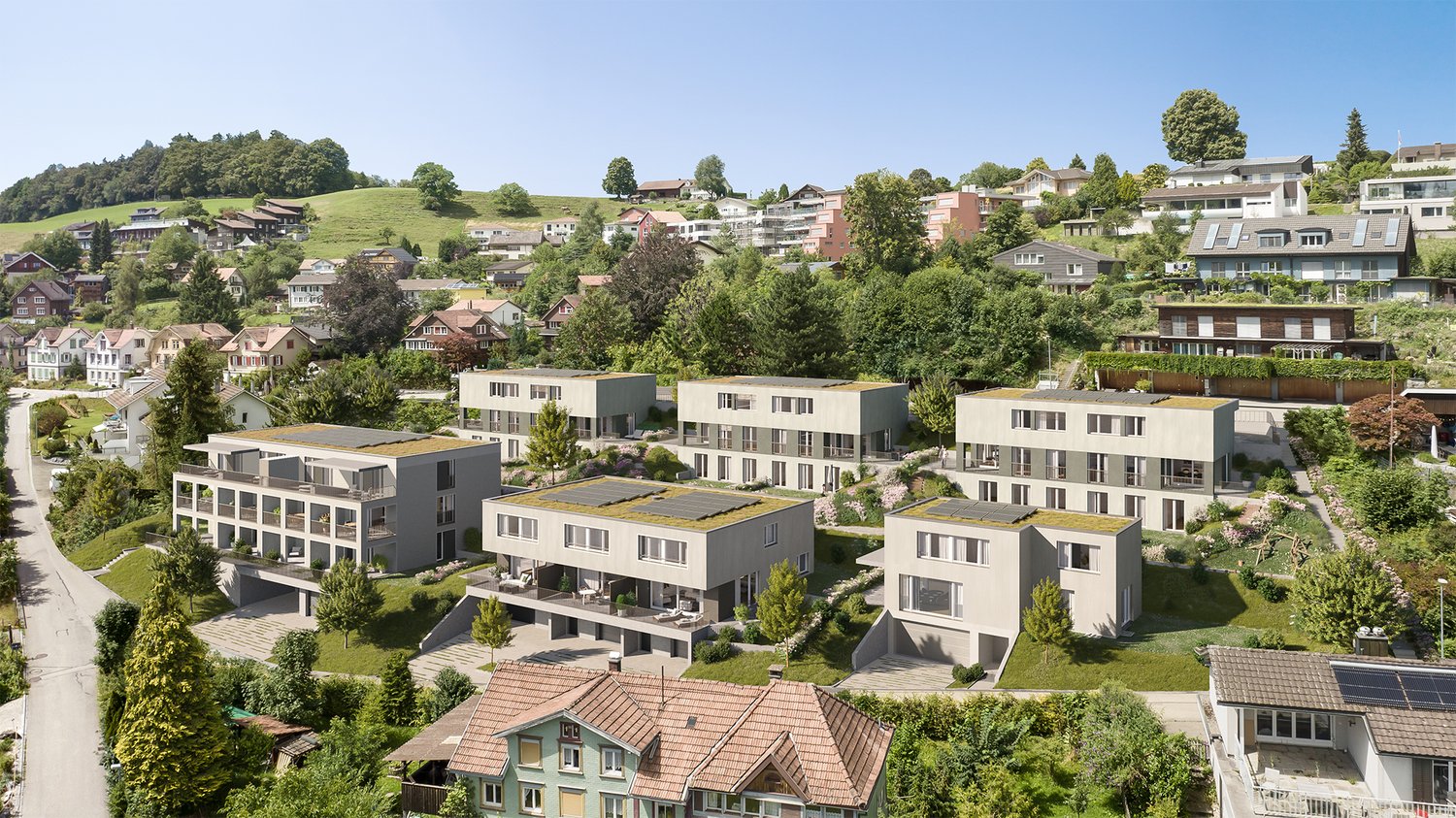 Einfamilienhaus im Neubauprojekt «Sonnhalde» - Visualisierung