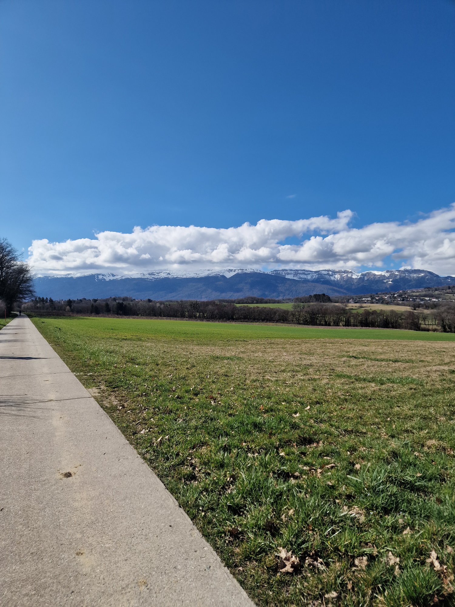 Villa contemporaine de 5.5 pièces à Chavannes-des-Bois -  Bild 2